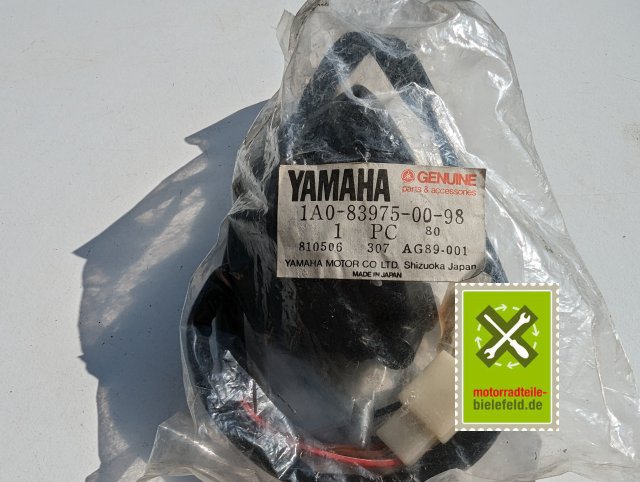 PXL_20240523_151254415